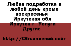 Любая подработка,в любой день,кроме воскресенья. - Иркутская обл., Иркутск г. Услуги » Другие   